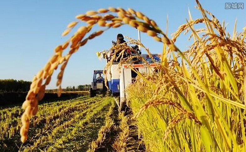 农垦改革发展意见发布 现代农业企业迎机遇
