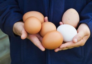 山东鸡蛋价格创年内新低 相关概念股会受影响吗？
