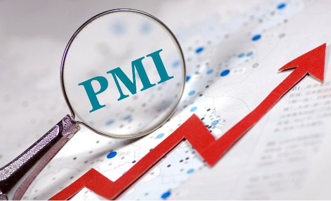 pmiָ